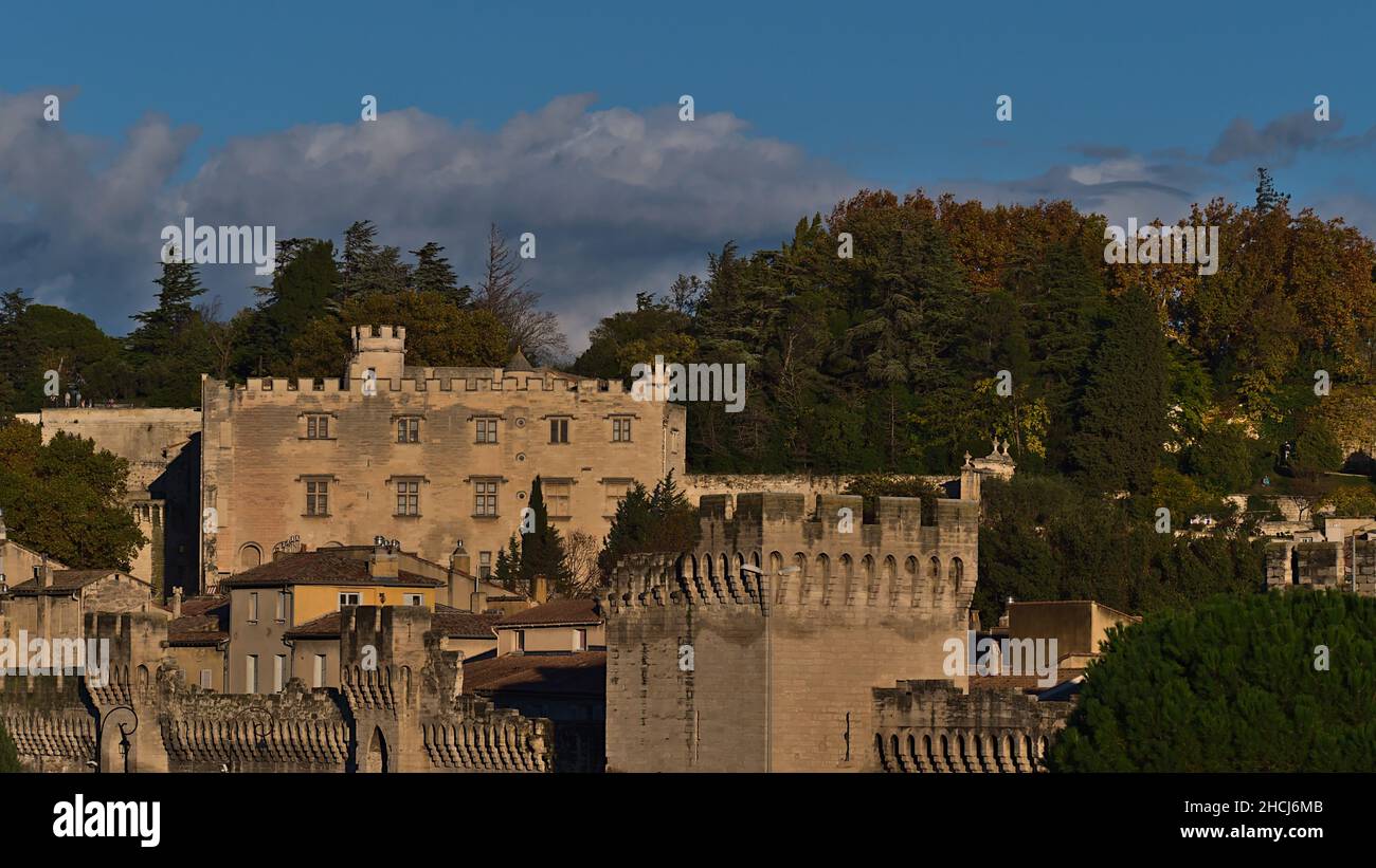Splendida vista sul centro storico della città di Avignone, Provenza, Francia con le mura della città, Musee du Petit Palais e Rocher des Doms nel pomeriggio. Foto Stock