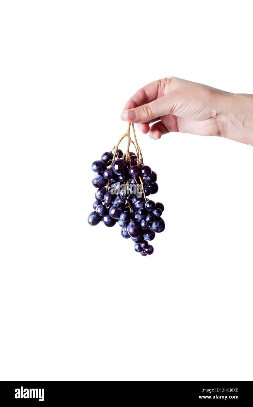 fotografia di vite ancora vita Foto Stock