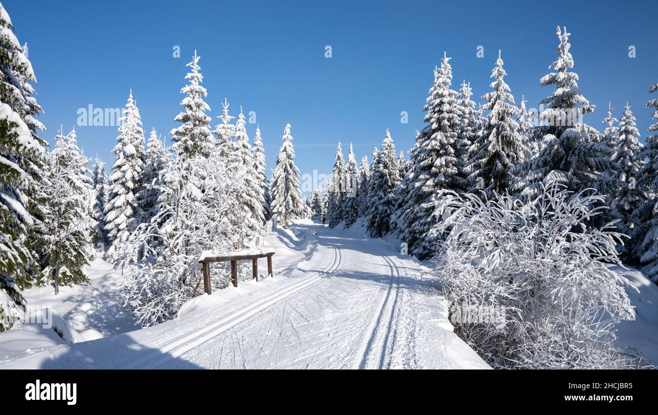 Pista da sci di fondo nella soleggiata giornata invernale Foto Stock