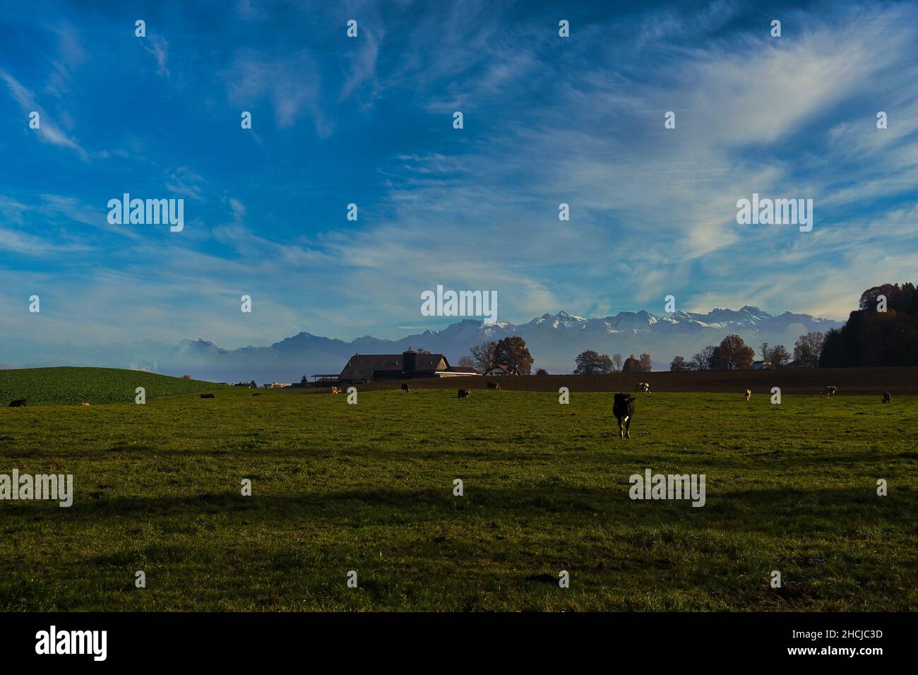 Esposizione prolungata di paesaggi in una fattoria con sfondo montagnoso in Svizzera Foto Stock