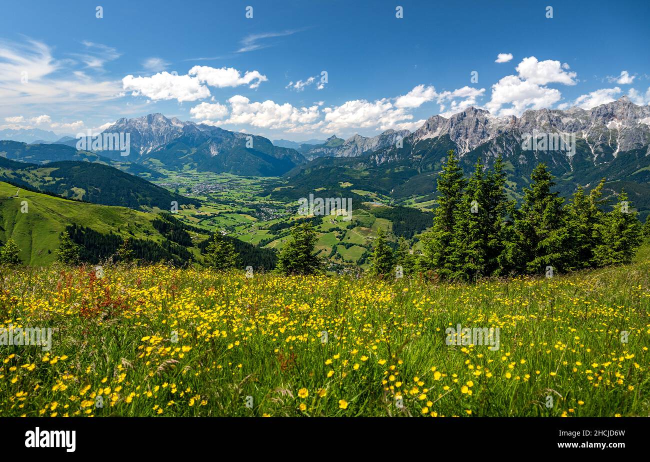 Paesaggio alpino estivo con pascoli alpini, foreste e montagne, Hochkoenig, Maria Alm, Dienten, Salisburgo, Austria Foto Stock