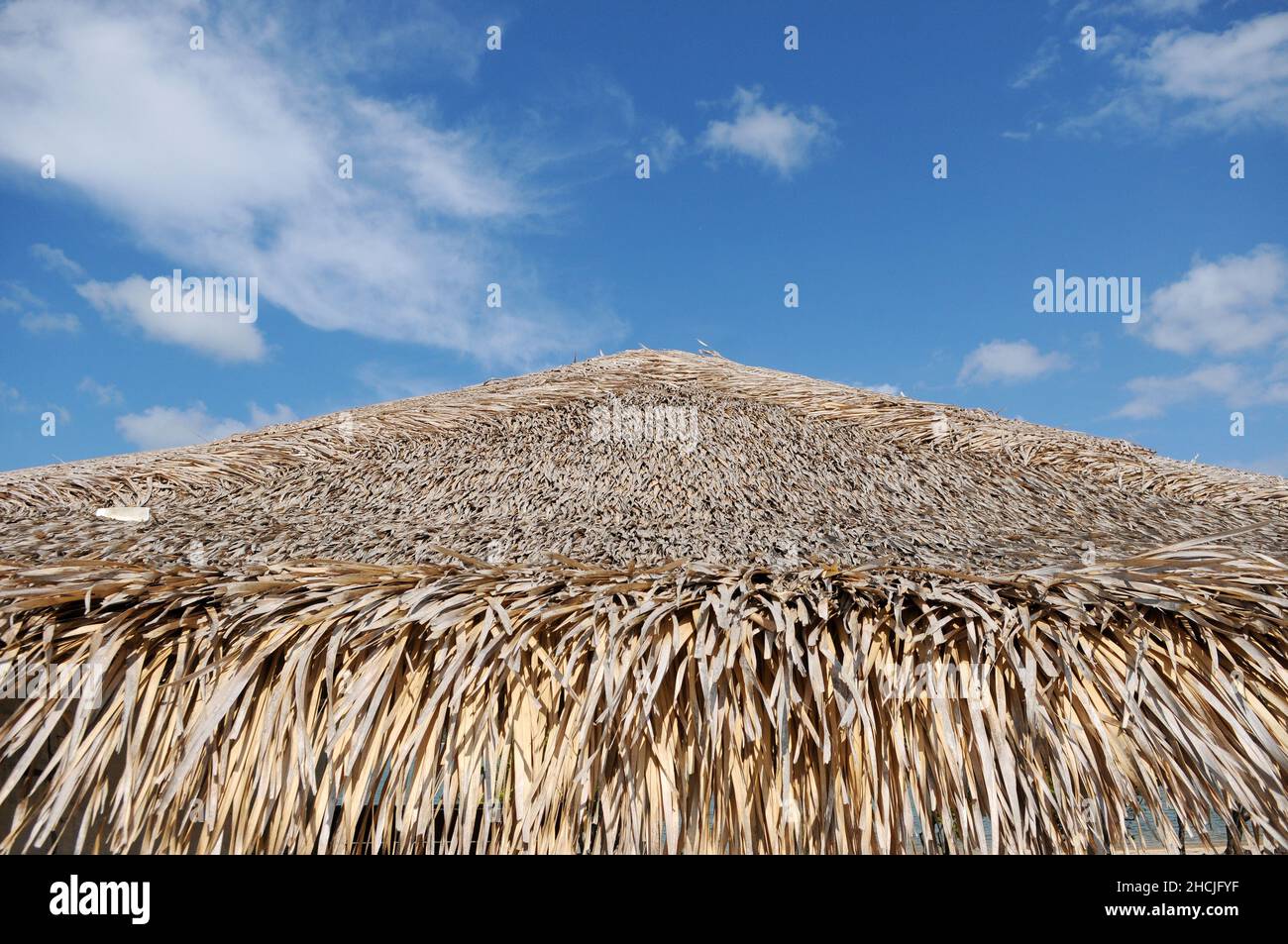 Dettaglio del soffitto di paglia dell'albero di acai dei chioschi dell'isola dell'amore in Alter do Chão, nello stato di Pará, Brasile settentrionale. Foto Stock