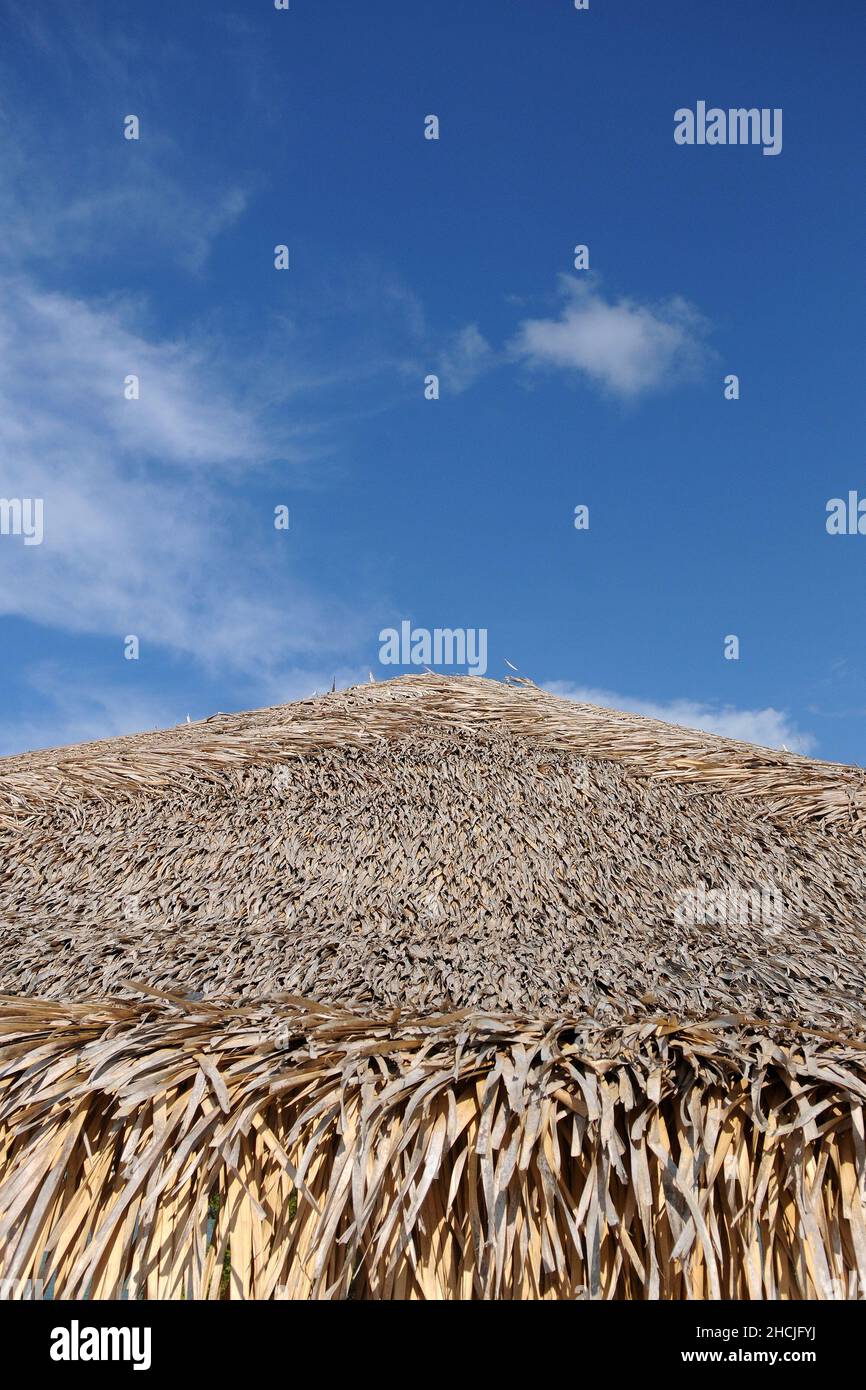 Dettaglio del soffitto di paglia dell'albero di acai dei chioschi dell'isola dell'amore in Alter do Chão, nello stato di Pará, Brasile settentrionale. Foto Stock