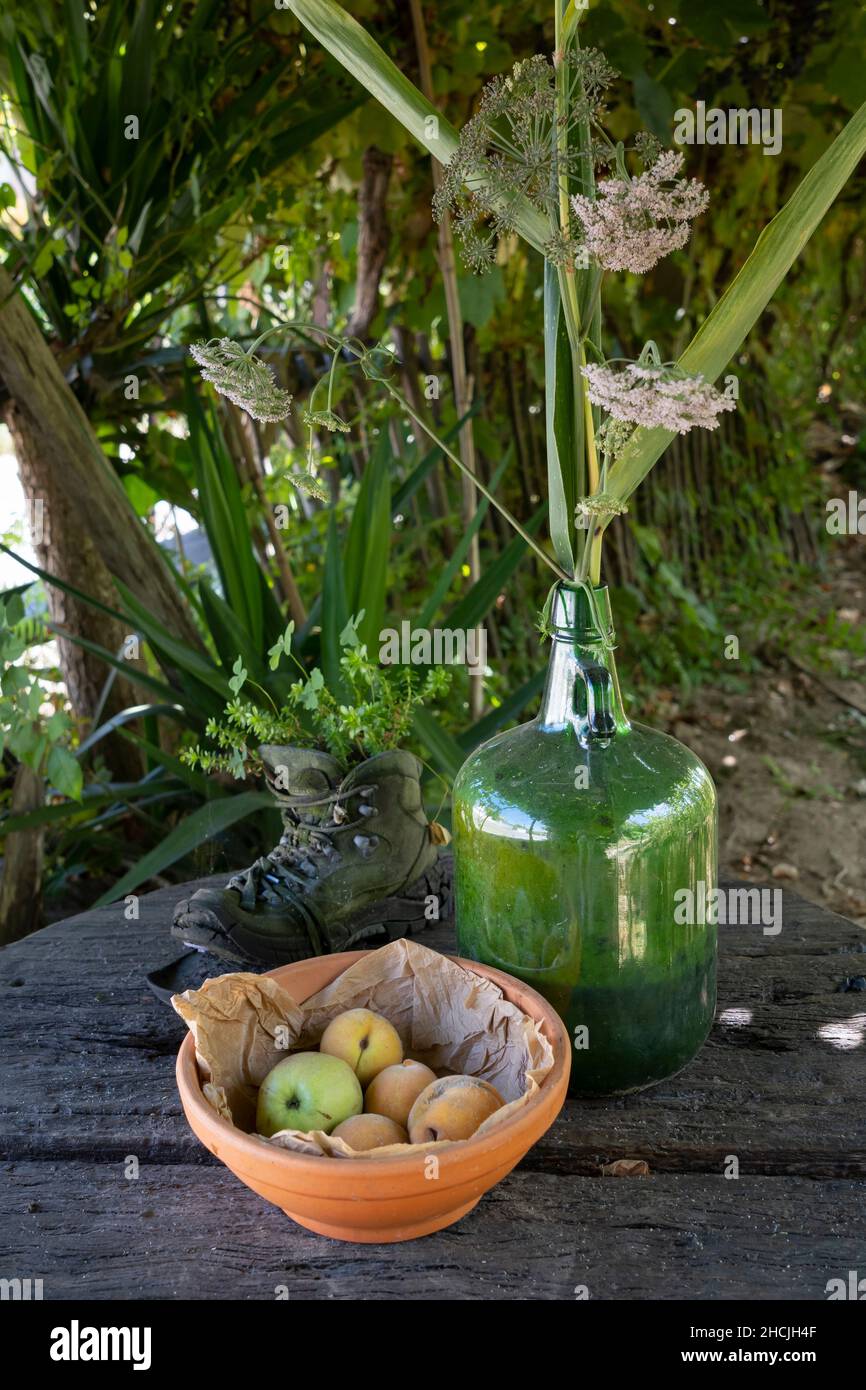 Ancora vita all'Albergue de Peregrinos Casa da Fernanda lungo il Camino portoghese a Vitorino dos Piães, Portogallo. Questo percorso del Camino de San Foto Stock