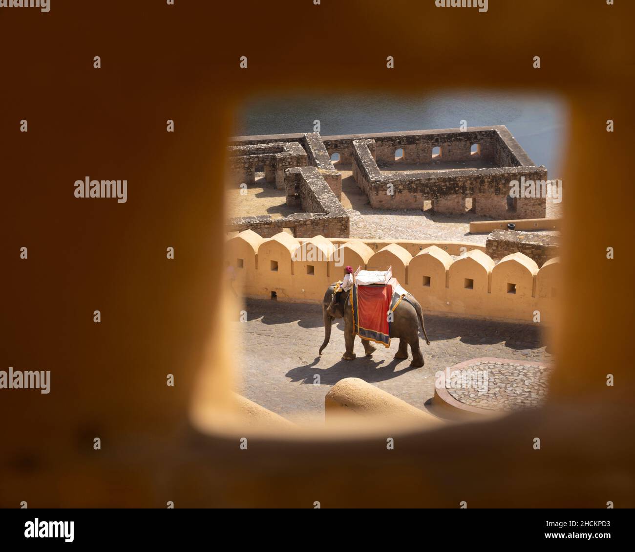 Elephant, Amber Fort, Jaipur. Foto Stock