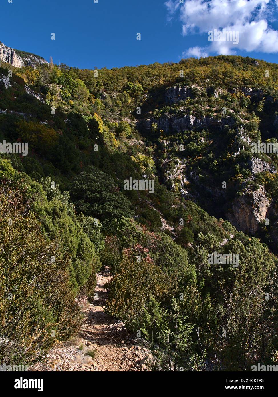 Stretto sentiero escursionistico al bordo settentrionale del maestoso canyon Verdon Gorge (Gorges du Verdon) nel sud della Francia nella regione della Provenza. Foto Stock