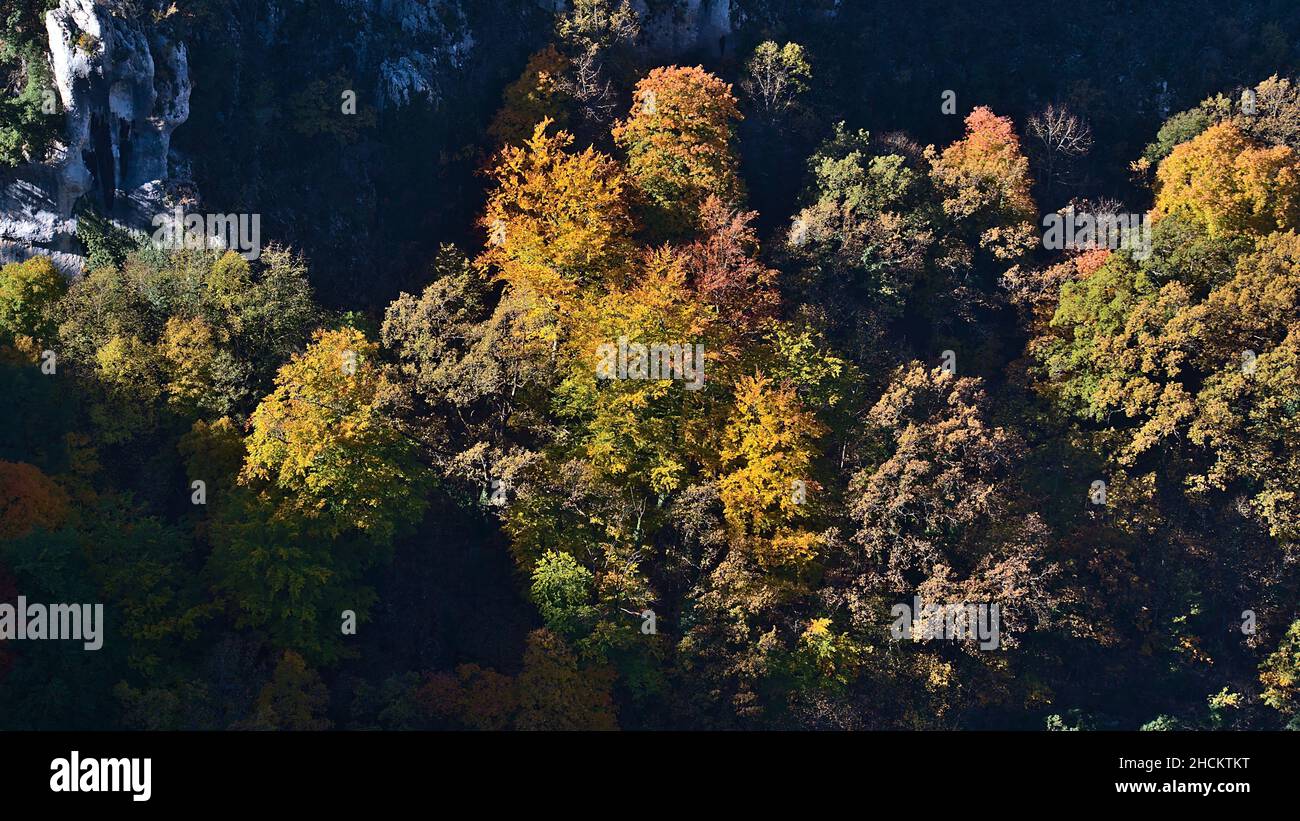Bella vista ad alto angolo del profondo canyon Verdon Gorge (Gorges du Verdon) nella regione della Provenza nel sud della Francia in giorno di sole nella stagione autunnale. Foto Stock