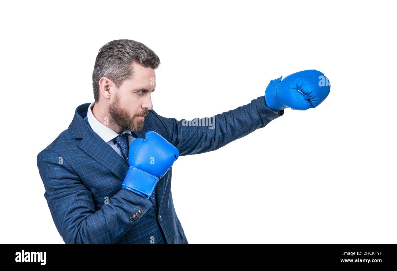 boxer businessman pugilato nella battaglia aziendale isolato su bianco, successo aziendale. Foto Stock