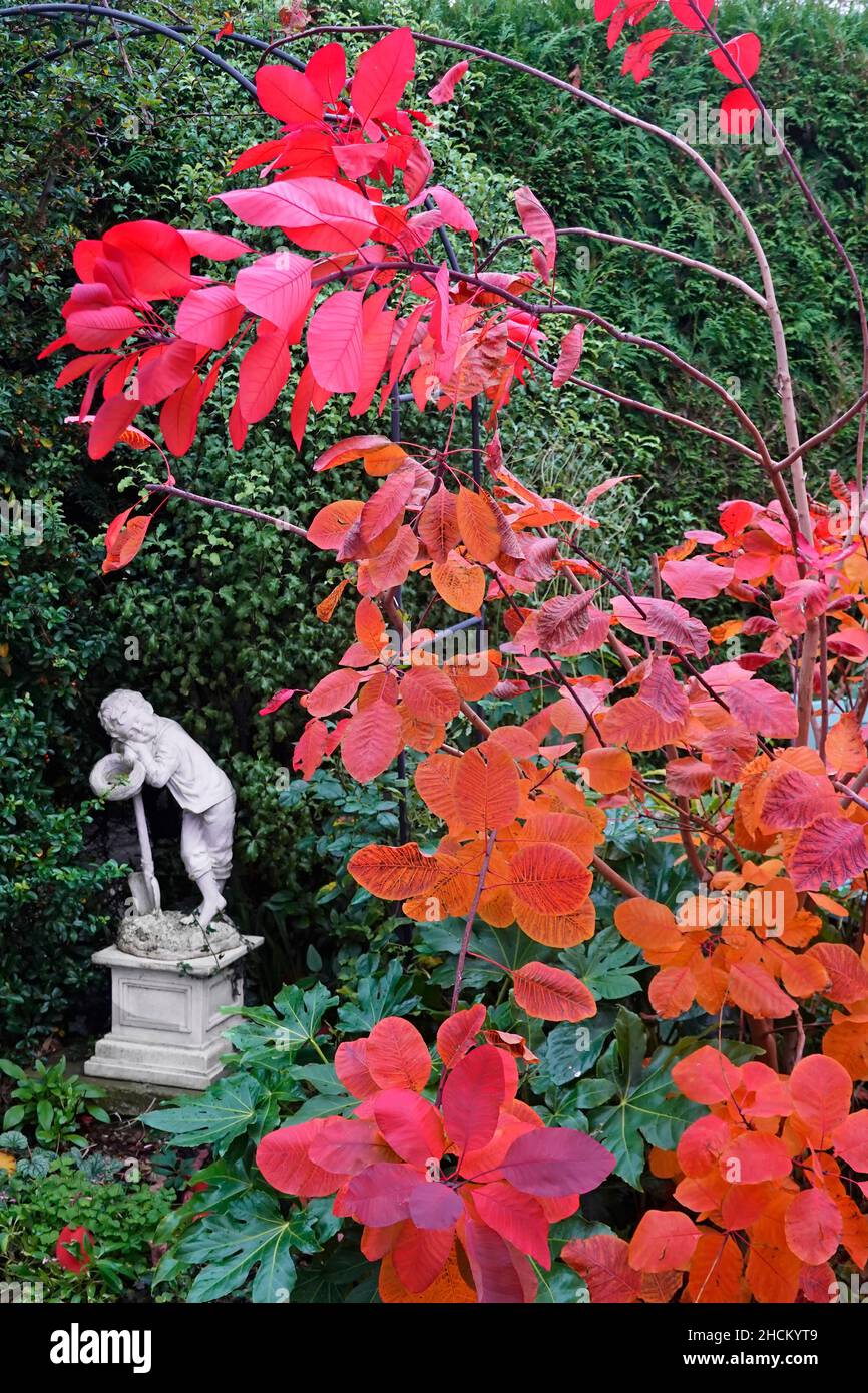 Una statua dormiente del ragazzo in giardino posteriore inglese fra le piante del cespuglio compreso il colore d'autunno deciduo della varietà del Cotinus Royal Purple Inghilterra UK Foto Stock