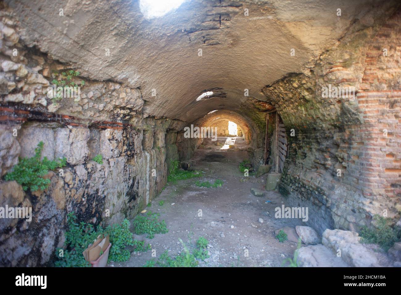 Europa, Italia, Sardegna, Porto Torres, Parco Archeologico di Turris Libisonis e Museo Archeologico Nazionale Antiquarium Turritanum Foto Stock