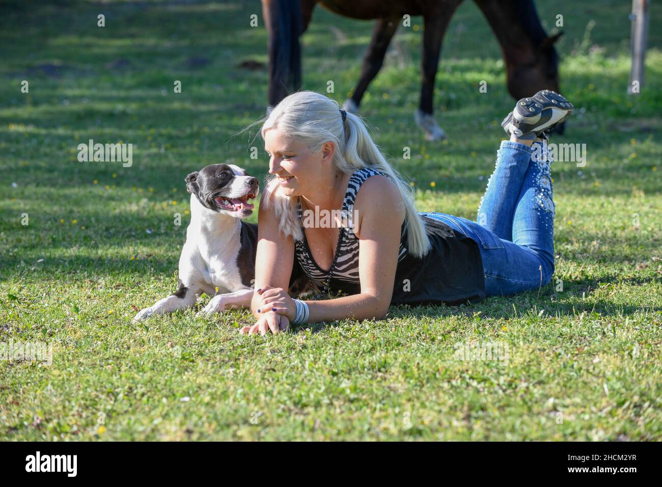 Una giovane donna bionda è sdraiata sul prato accanto al suo cane di colore bianco e nero e guardando gli altri occhi. Foto Stock