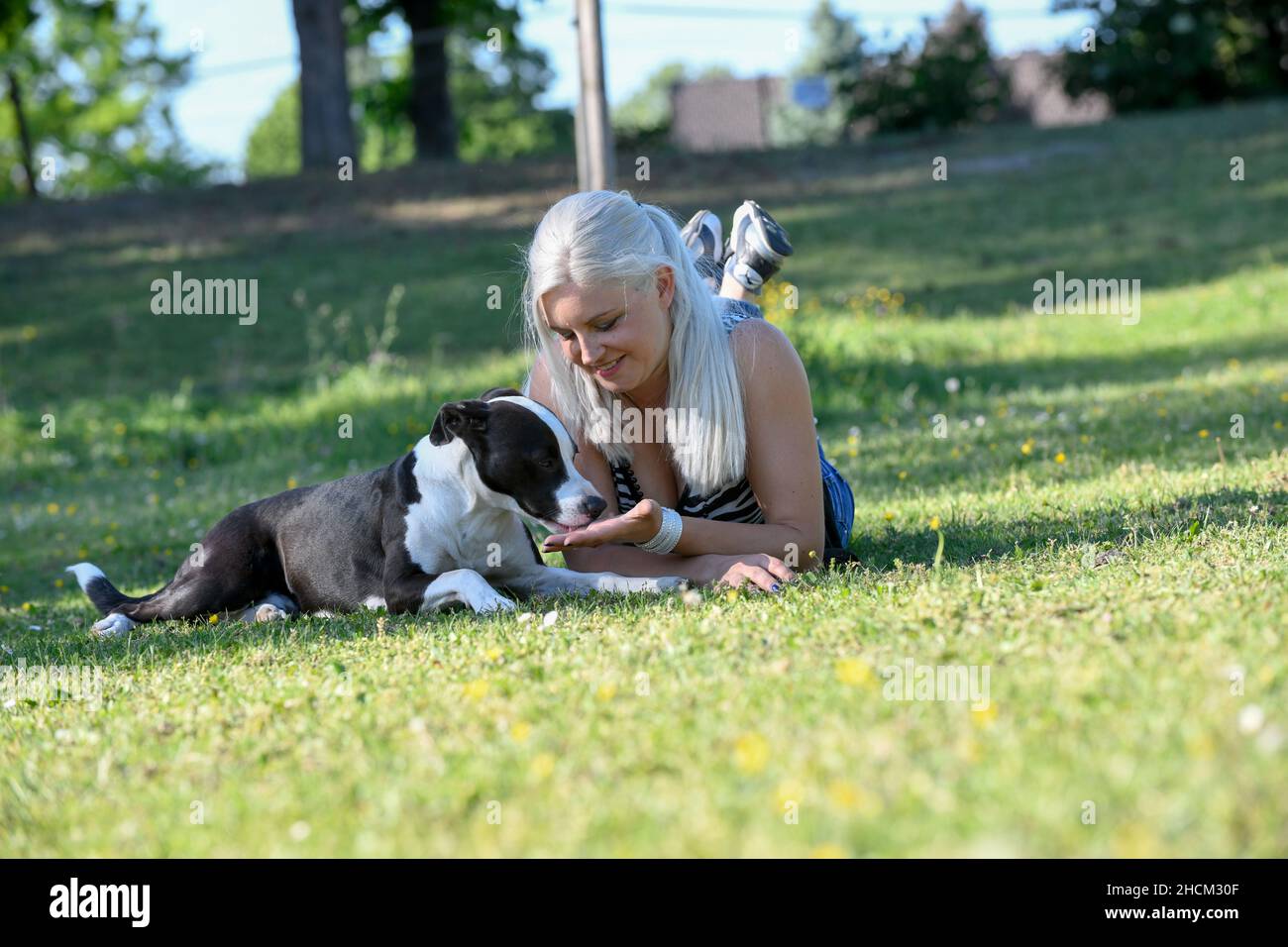 Una giovane donna bionda si trova su un prato fresco verde che alimenta il suo cane con alcune prelibatezze. Foto Stock