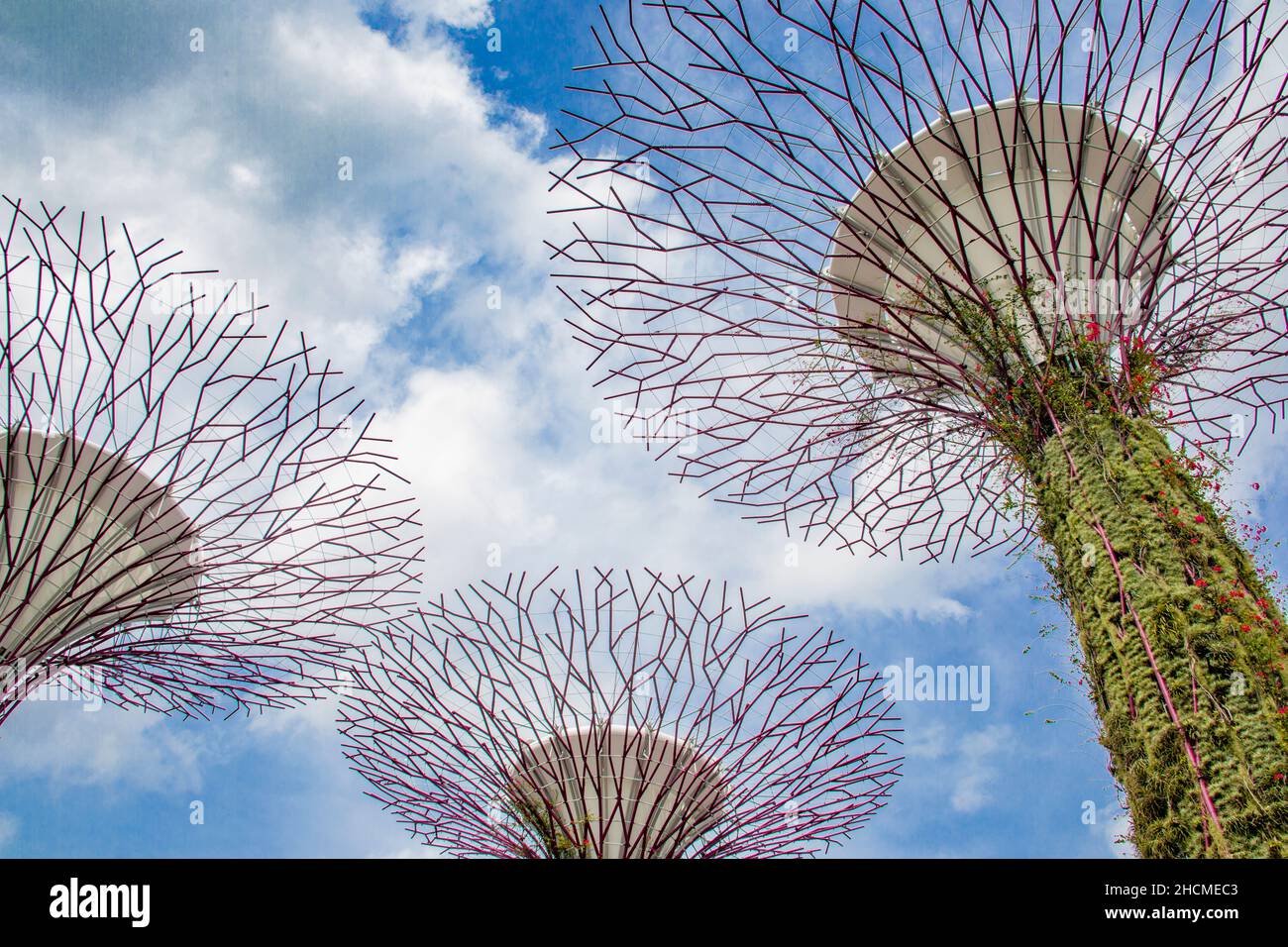 I Supertree sono le 18 strutture a pianta di Garden by the Bay Singapore che dominano il paesaggio dei Giardini Foto Stock