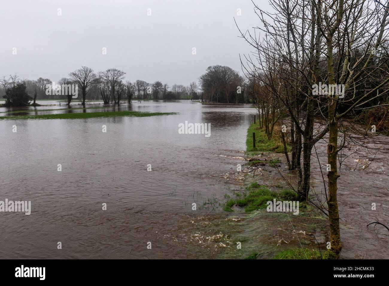 Caheragh, West Cork, Irlanda. 30th Dic 2021. Piogge pesanti e torrenziali che oggi cadono hanno portato a inondazioni di strade e campi a Caheragh, West Cork. Le contee Cork e Kerry sono attualmente sotto un avviso meteo Met Eireann giallo per la pioggia fino alle 5am di domani. Credit: AG News/Alamy Live News Foto Stock