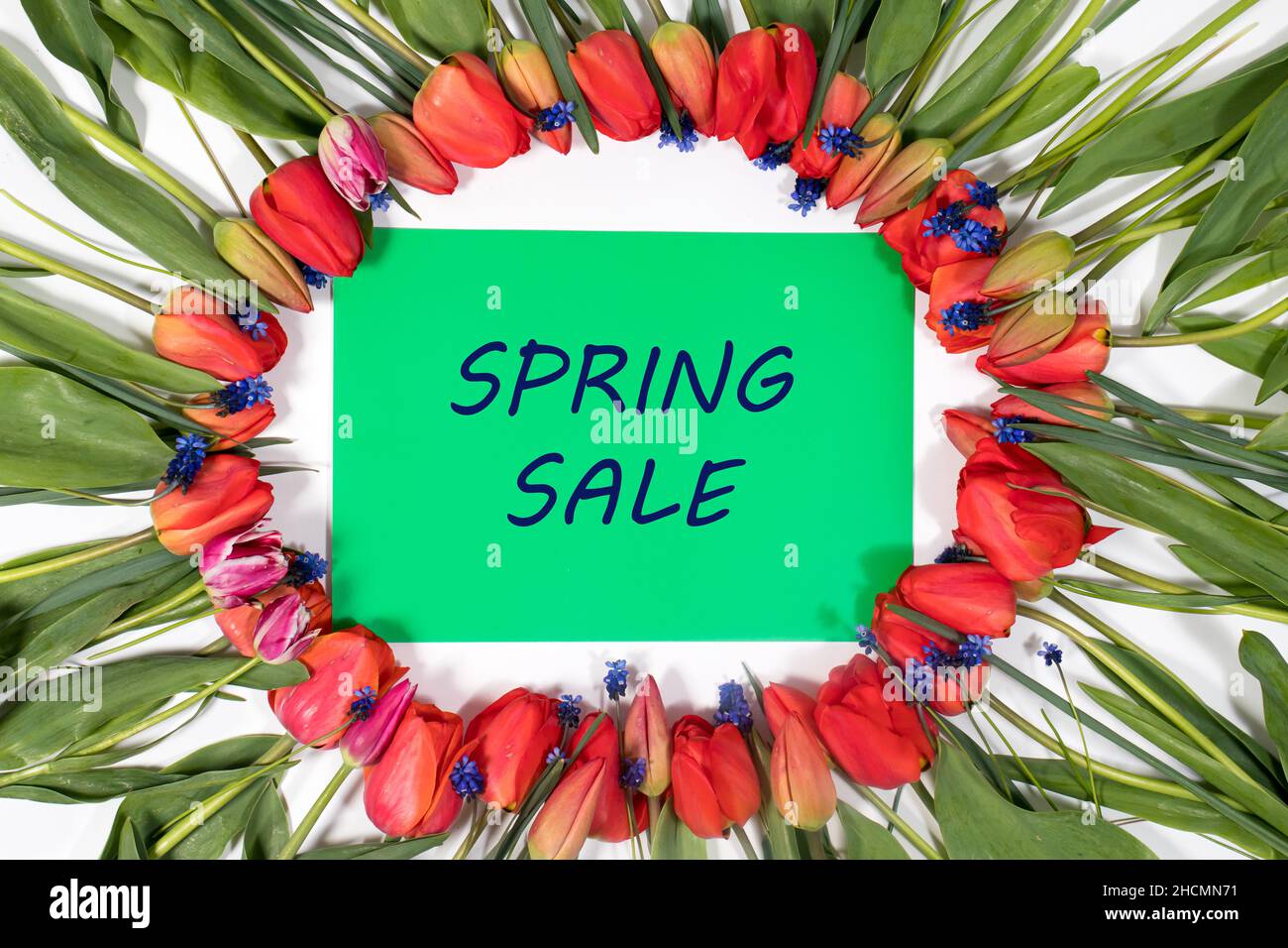 Bella offerta festiva con tulipani e iscrizione Primavera vendita. Foto Stock