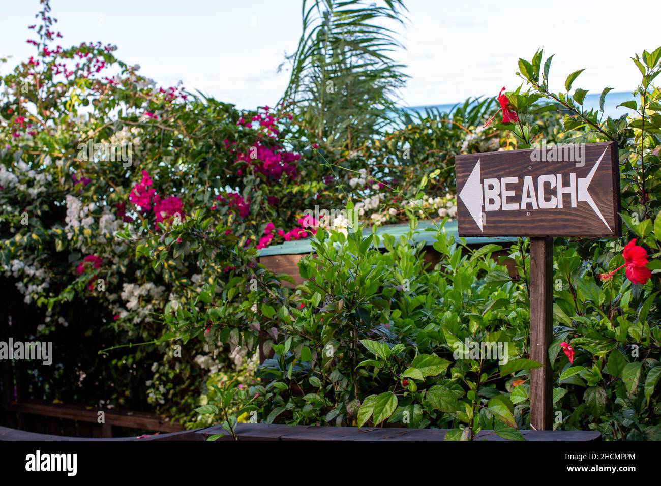 Cartello in legno con scritta 'BEACH' sulla costa Foto Stock