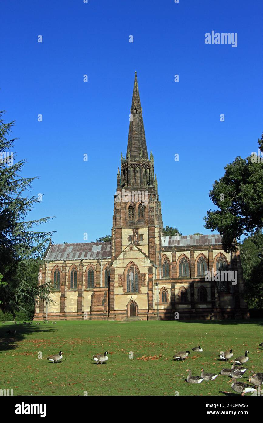 Clumber Park, Nottinghamshire, Inghilterra Foto Stock