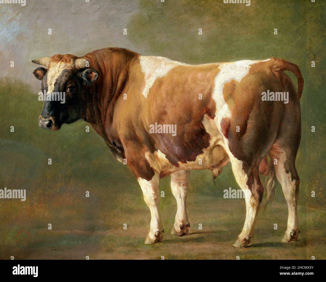 Studio di un toro di Jacques Raymond Brascassat (1804-1867), olio su tela Foto Stock