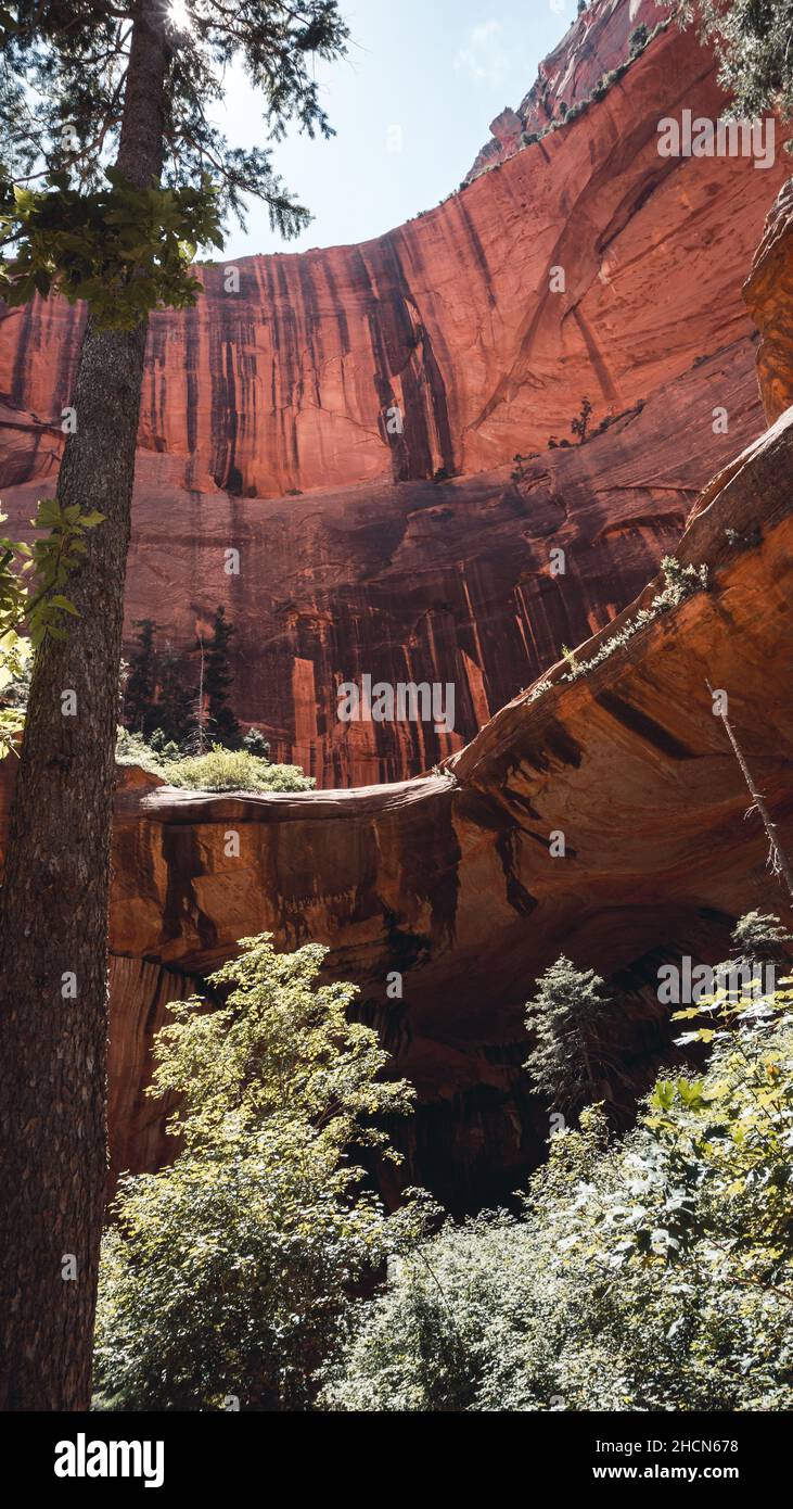 La doppia arcata alcova nel Parco Nazionale di Zion, Utah, Stati Uniti d'America Foto Stock