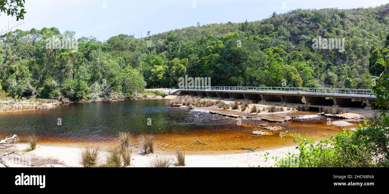 Ponte sul fiume Groot nel Parco Nazionale Tsitsikamma con Afromontane Forest habitat vicino Nature's Valley, western cape, Sudafrica Foto Stock