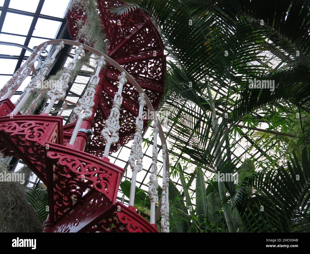 Restaurata nell'estate del 2021, la scala a chiocciola in ghisa nella Palm House a Glasgow Botanic Gardens è dipinta in rosso e bianco. Foto Stock