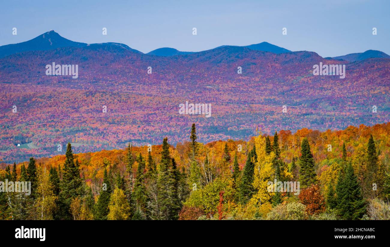 I colori del fogliame autunnale illuminano il paesaggio nella campagna del Vermont Foto Stock