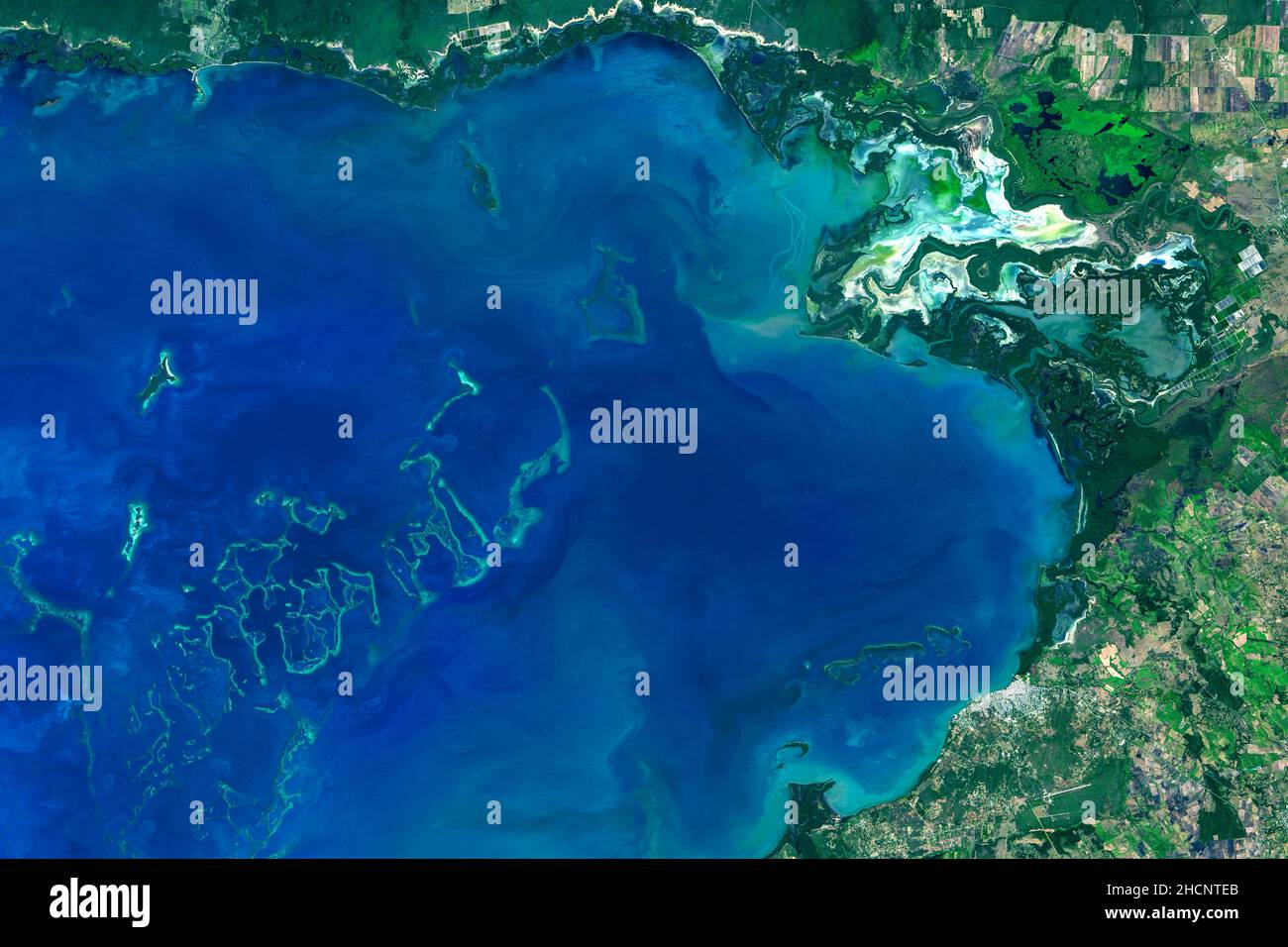 Circa un quarto delle specie marine del pianeta dipende dal cibo e dal riparo forniti dalle barriere coralline tropicali, habitat che copre solo l'1% o Foto Stock
