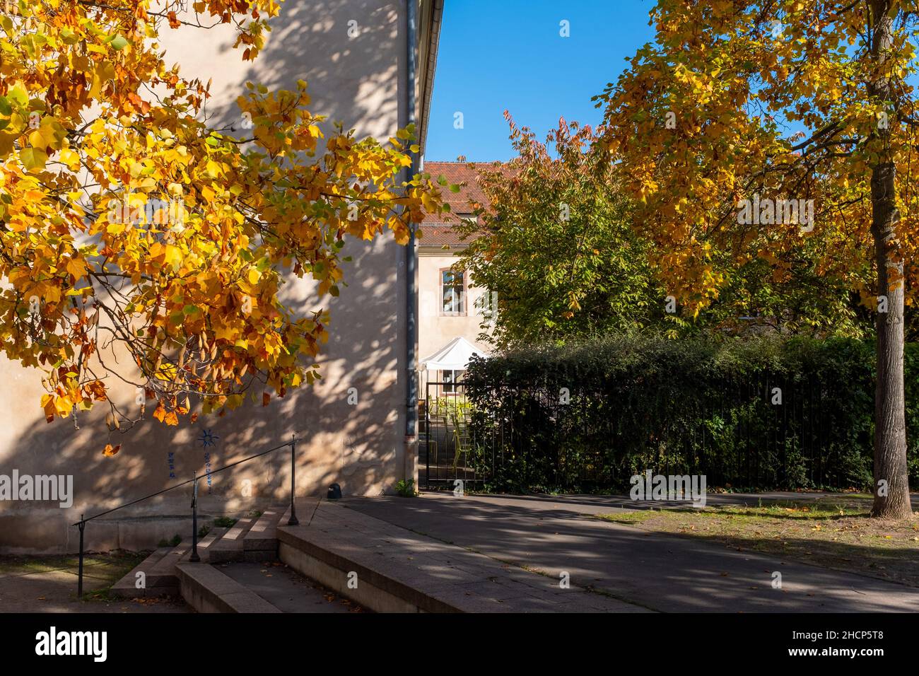 Una finestra incorniciata da alberi che portano fogliame autunnale a Strasburgo, Francia, in un soleggiato pomeriggio autunnale senza gente Foto Stock