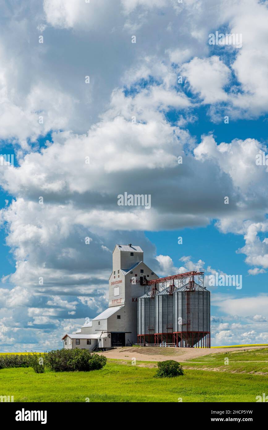 Un elevatore di grano a Kayville, Saskatchewan, Canada Foto Stock