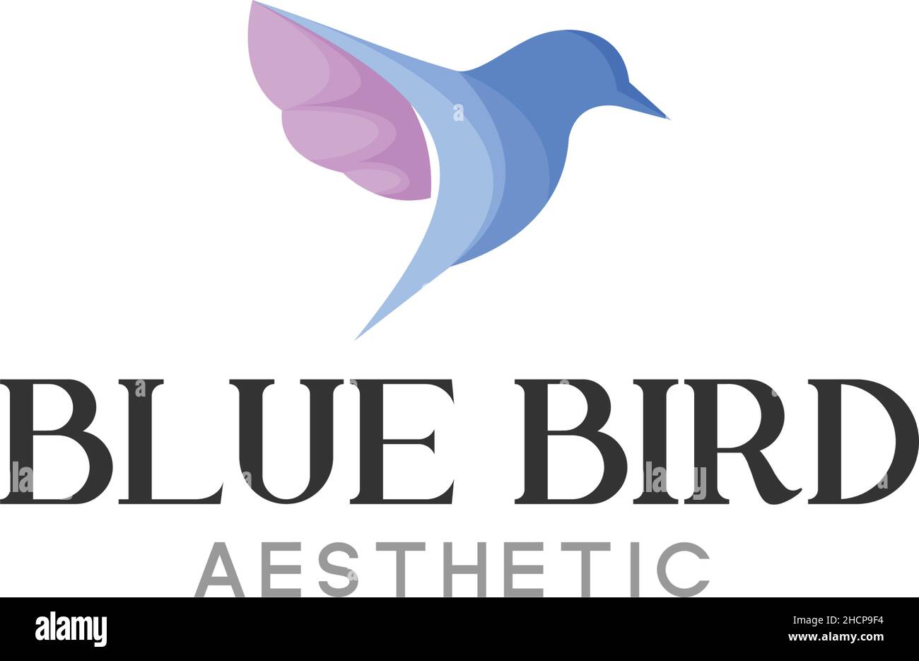 Design moderno e colorato con logo blu ORNITOLOGICO Illustrazione Vettoriale