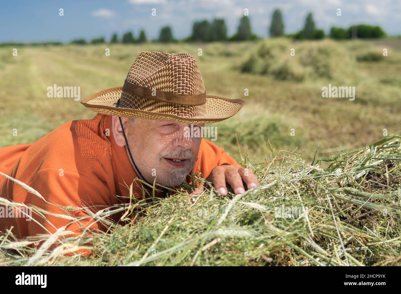 Ritratto di caucasico alto agricoltore steso su fieno su campo agricolo e guardando avanti Foto Stock