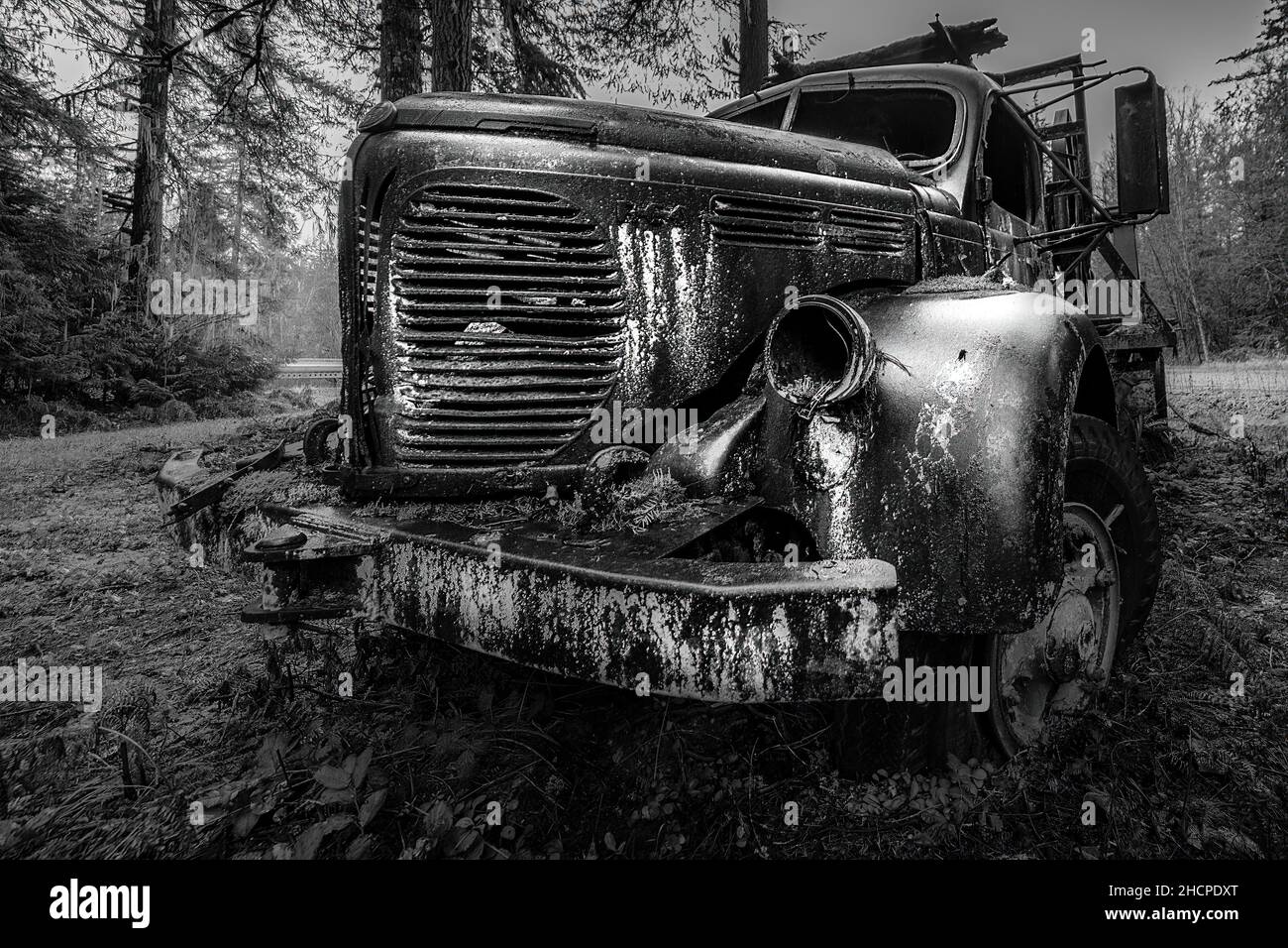 Primo piano di un vecchio camion nella foresta in bianco e nero Foto Stock