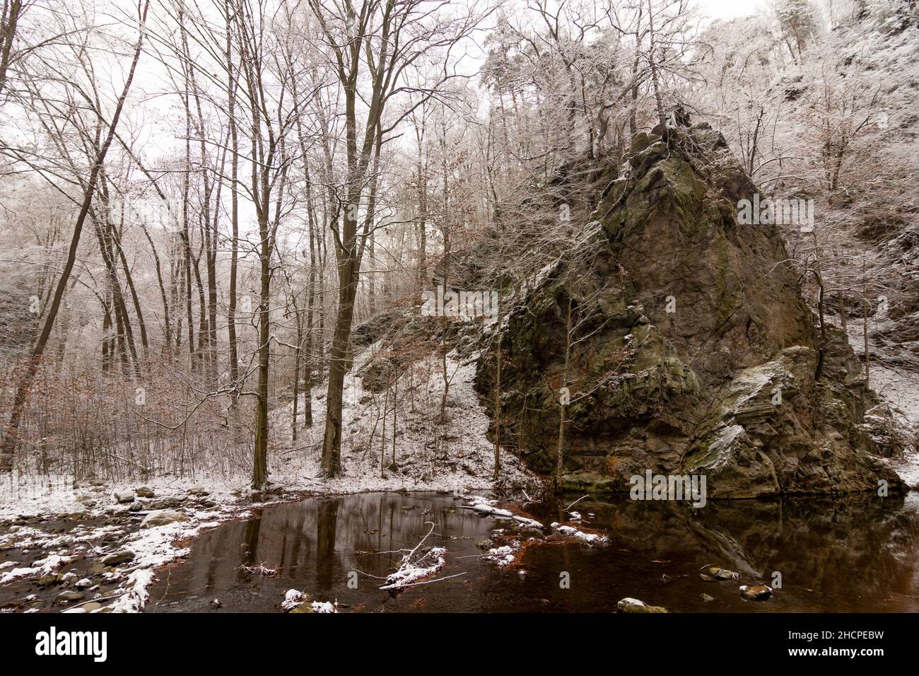 Freital: Neve nella valle Rabenauer Grund, roccia nel fiume Rote Weißeritz, a Erzgebirge, Monti ore, Sachsen, Sassonia, Germania Foto Stock