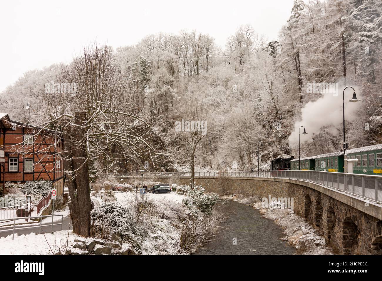 Rabenau: Neve nella valle Rabenauer Grund, fiume Rote Weißeritz, treno a vapore a scartamento ridotto di Weißeritztalbahn (Weisseritz Valley Railway) alla stazione Rab Foto Stock