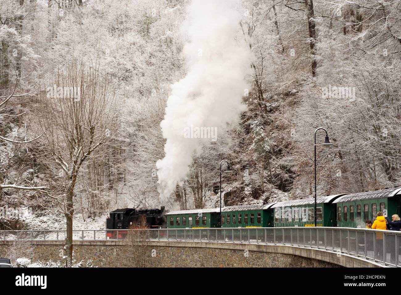 Rabenau: Neve nella valle Rabenauer Grund, fiume Rote Weißeritz, treno a vapore a scartamento ridotto di Weißeritztalbahn (Weisseritz Valley Railway) alla stazione Rab Foto Stock