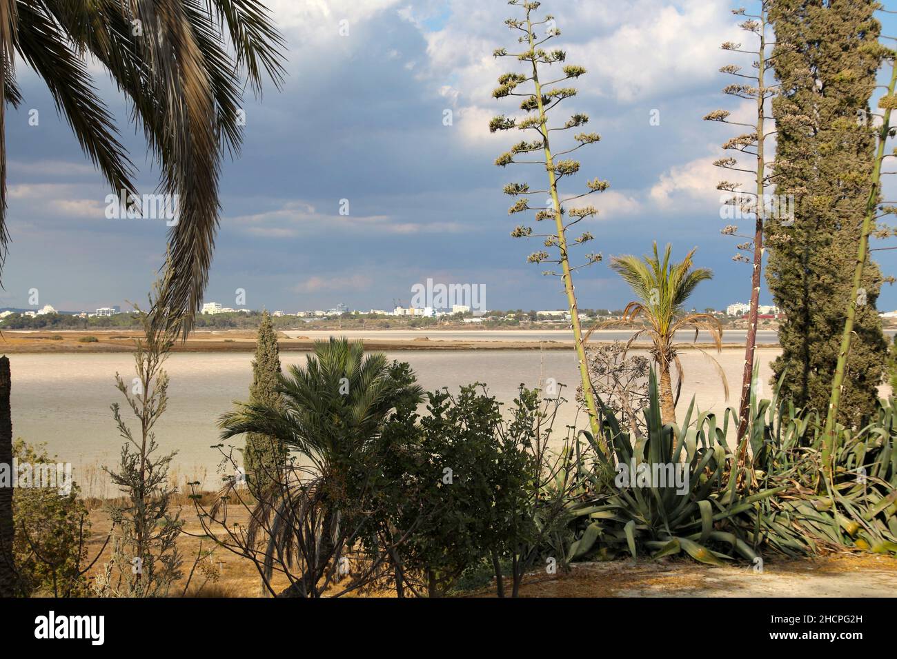 Vista sul lago salato di Larnaca Foto Stock