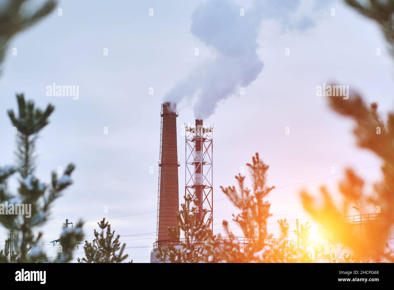 Due camini industriali che fumano con fumo sullo sfondo pineta invernale.con luminosa illuminazione solare Foto Stock