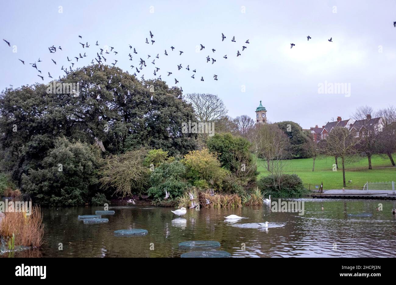 Brighton UK 31st Dicembre 2021 - Una giornata noiosa nel Queens Park Brighton come estremamente mite ma il tempo coperto è previsto per il nuovo anno in Gran Bretagna: Credit Simon Dack / Alamy Live News Foto Stock