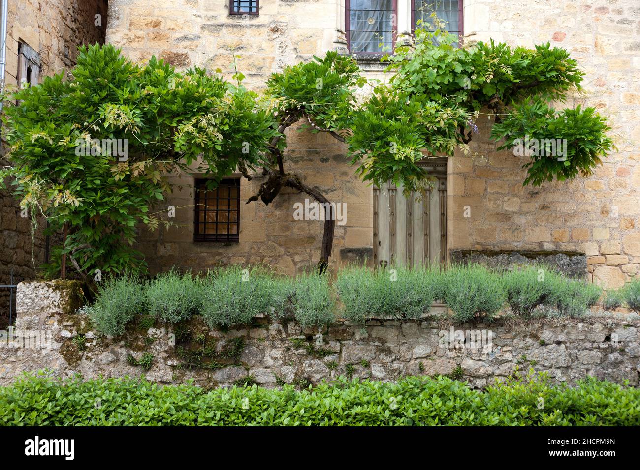 Bella vecchia casa in pietra con piante e alberi curati Foto Stock