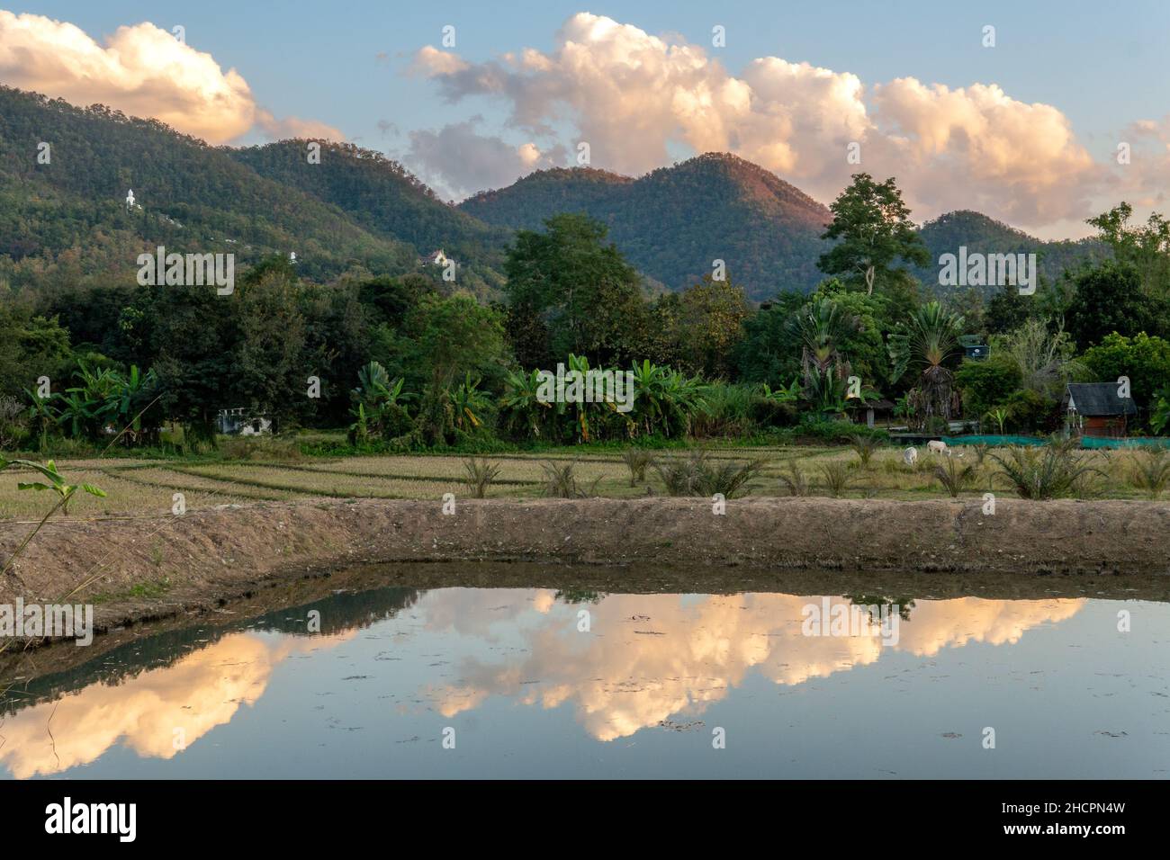 Nel tardo pomeriggio sulle montagne di Pai, Thailandia Foto Stock