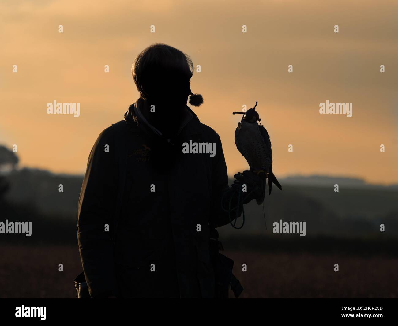 OLYMPUS FOTOCAMERA DIGITALE Foto Stock