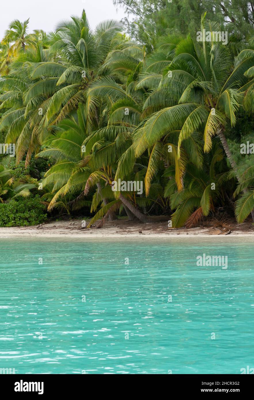 La bella spiaggia e il mare turchese su un'isola a piedi a breve distanza da Aitutaki una delle Isole Cook, Sud Pacifico Foto Stock