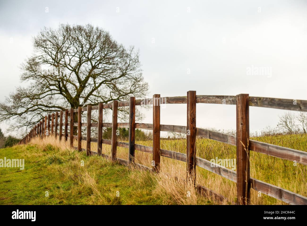 Percorso panoramico a piedi in campagna per ottenere aria fresca e fare esercizio all'aperto Foto Stock
