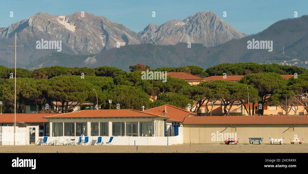 Forte dei Marmi Versilia Toscana: Dettaglio della spiaggia e della pineta con le Alpi Apuane in inverno Foto Stock