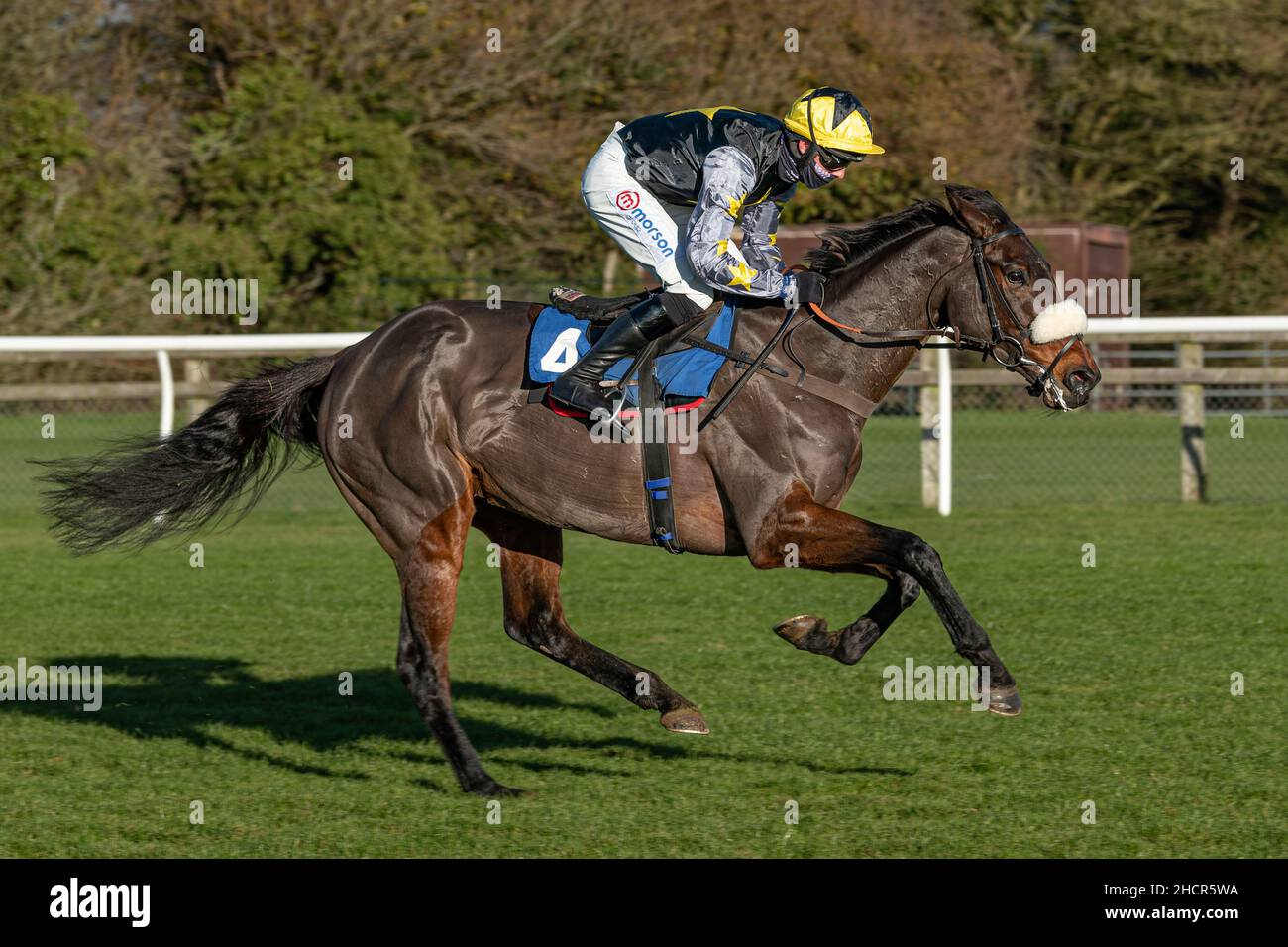 Harry Cobden in sella a Rainyday Woman per vincere a Wincanton Dicembre 2nd 2021 Foto Stock