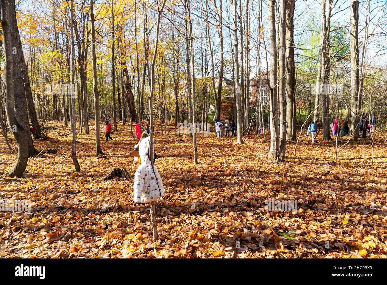 Asilo all'aperto in un boschetto di acero gioca con maschere contro coronavirus Foto Stock