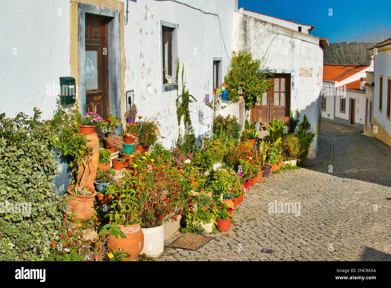 Bellissimo giardino con piante in vaso di fronte a una casa tradizionale nella città portoghese di Aljezur, Algarve Foto Stock