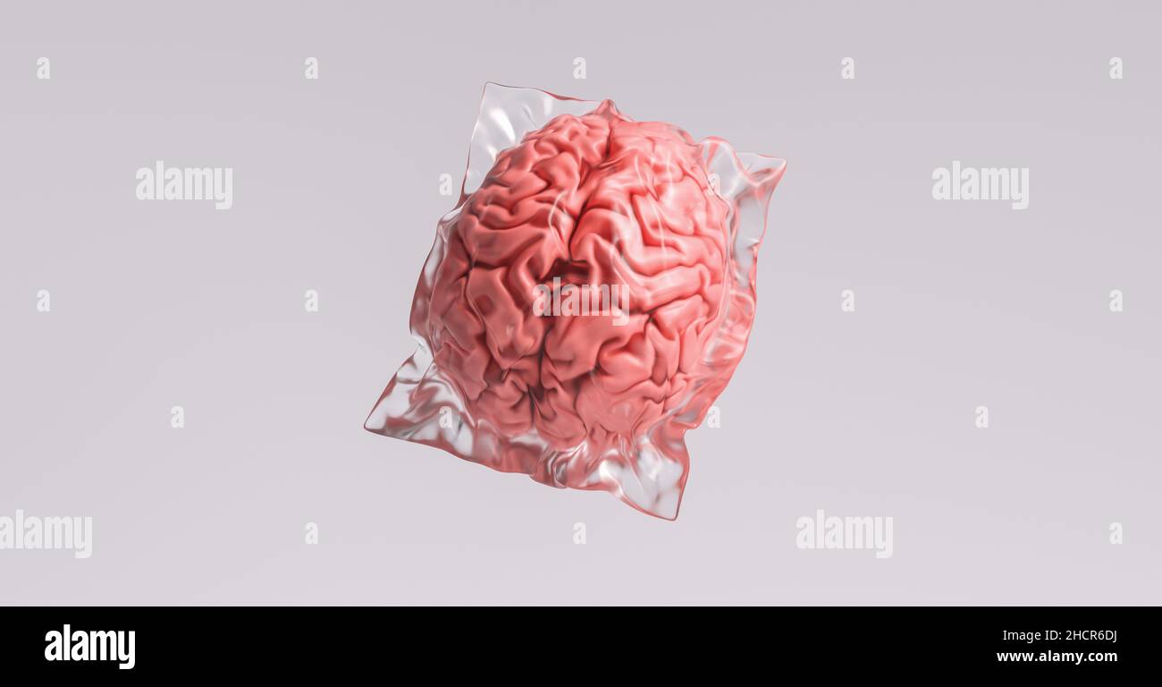 Cervello umano avvolto in pellicola termoretraibile come un'immagine di concetto medica e di spreco di plastica Foto Stock