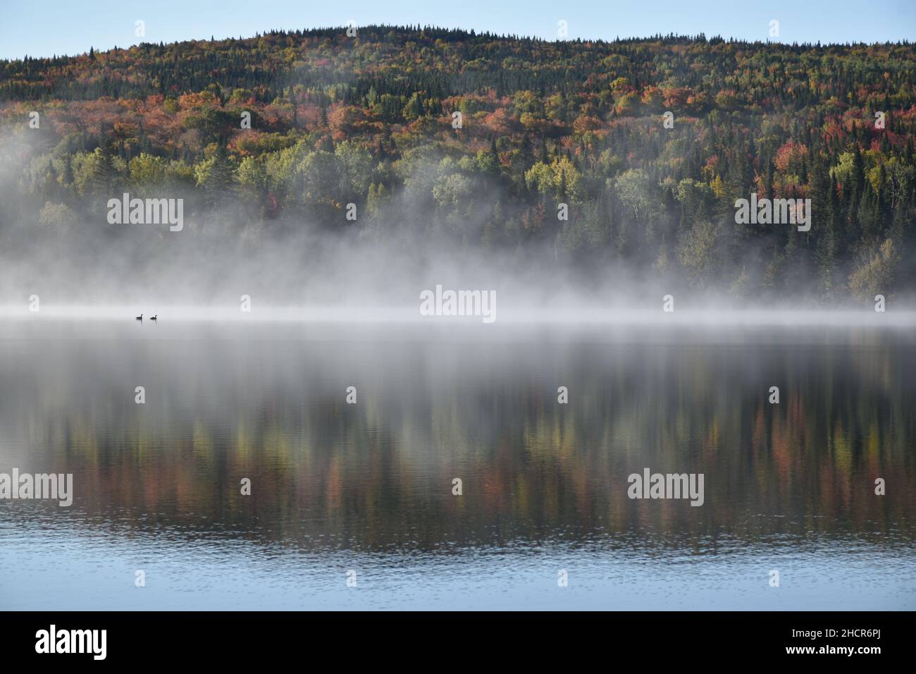 Una mattinata d'autunno al lago, Sainte-Apolline, Québec, Canada Foto Stock