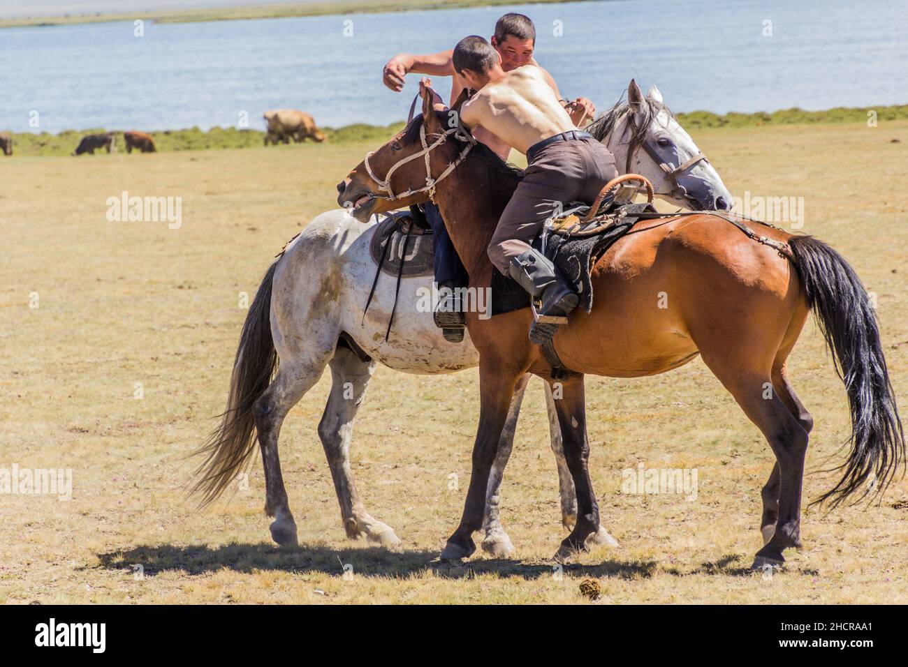 CANZONE KOL, KIRGHIZISTAN - 25 LUGLIO 2018: Lotta a cavallo al National Horse Games Festival sulle rive del lago Son Kol Foto Stock